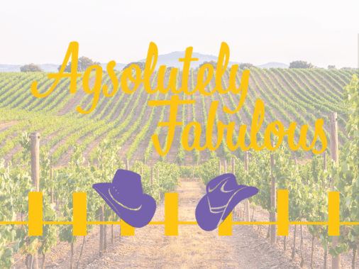 Agsolutely Fabulous vineyard.