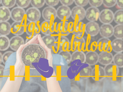 Agsolutely Fabulous seedlings