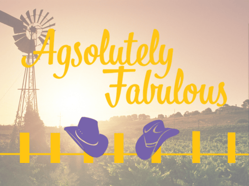 Agsolutely Fabulous Windmill