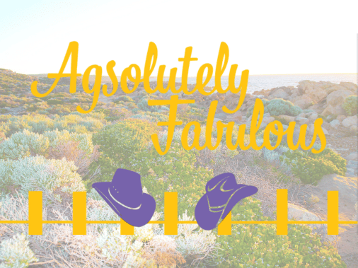 Agsolutely Fabulous podcast — Australian agriculture, rural women and farm life